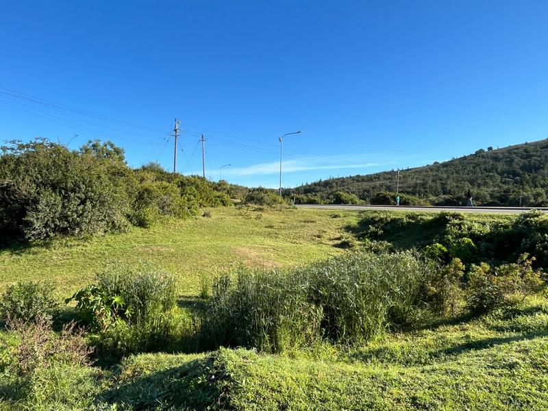 0 Bedroom Property for Sale in Greenhaven Western Cape